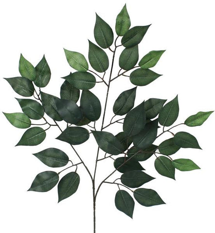 23"L FICUS SPRAY 12PCS/BDL, TT GREEN