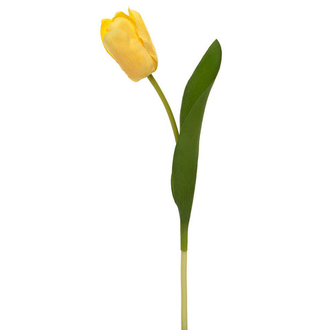 STEM DUTCH TULIP YELLOW 2IN X 14IN REAL TOUCH