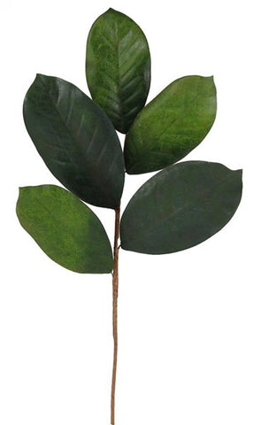 18"L Magnolia Leaf Pick Tt Green