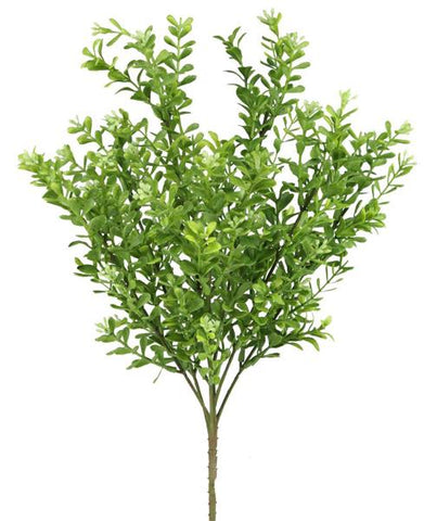 18"L BOXWOOD BUSH TT GREEN