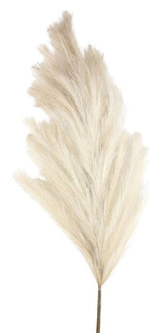 45.25"L FEATHER REED SPRAY NATURAL